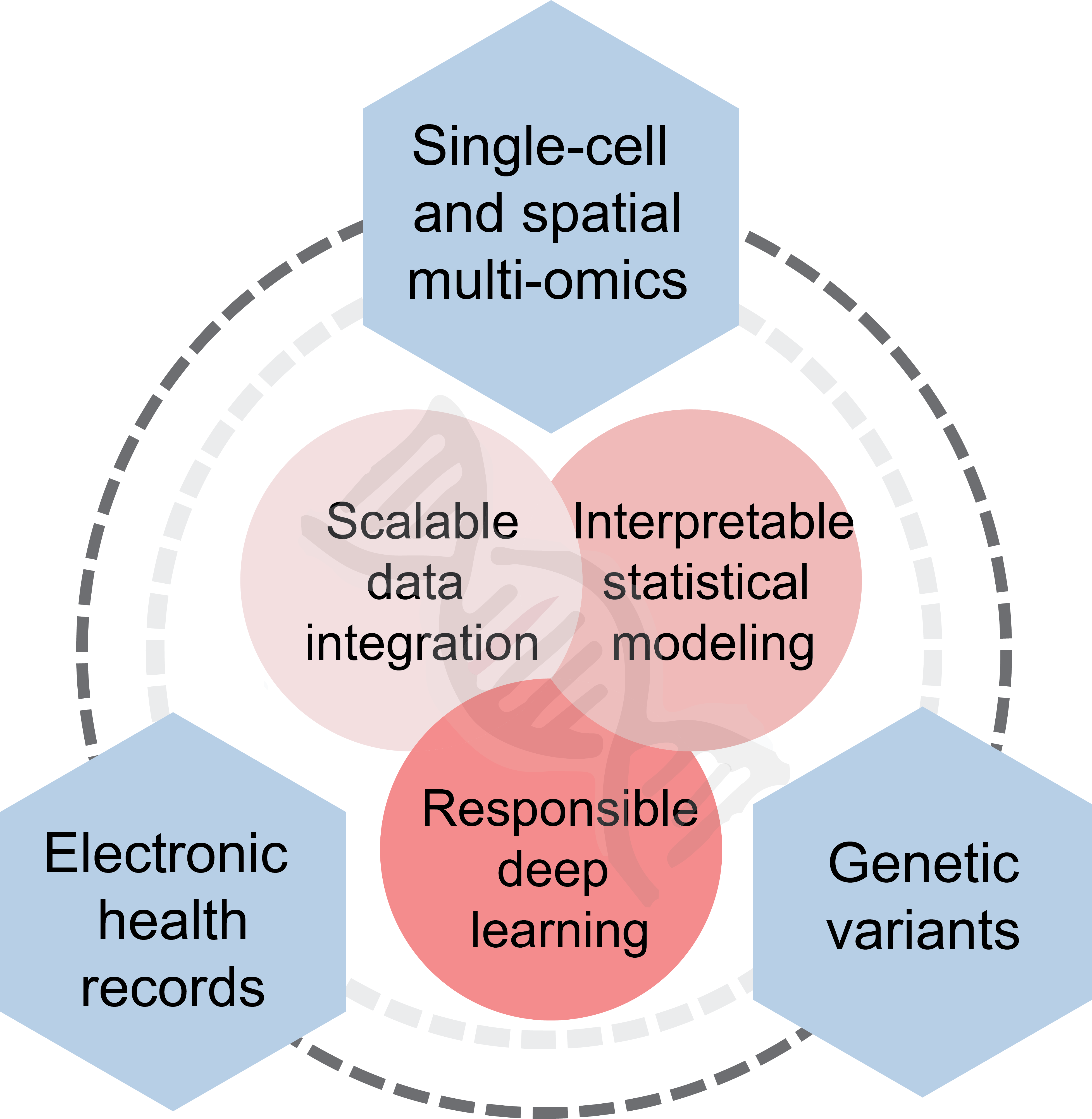 Research directions connecting single-cell and spatial multi-omics, electronic health records and genetic variants with scalable data integration, interpretable statistical modelling and responsible deep learning